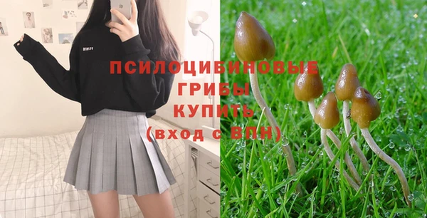 кокс Аркадак