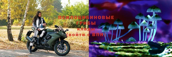 кокс Аркадак
