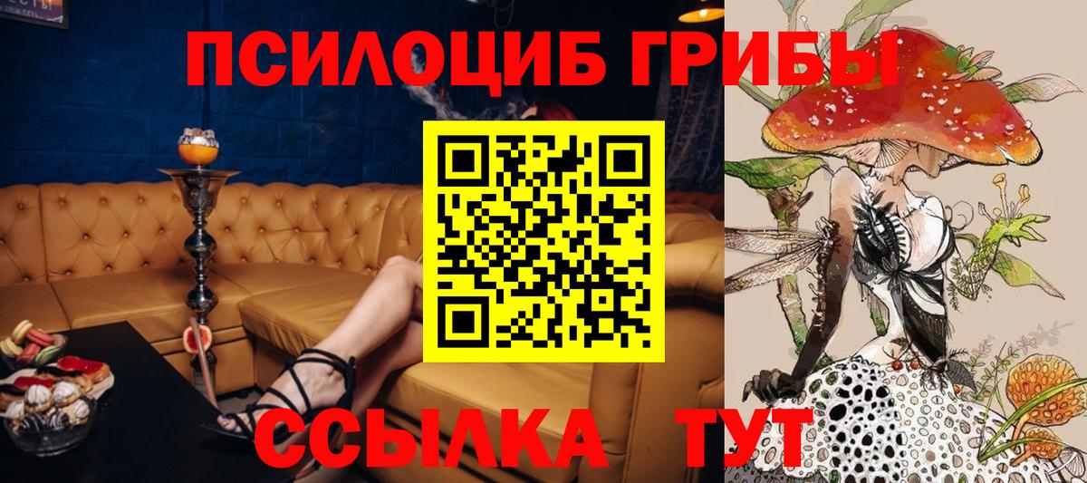 Шуя  Галлюциногенные грибы мухоморы  Вход с VPN  Псилоцибиновые грибы MAGIC MUSHROOMS 