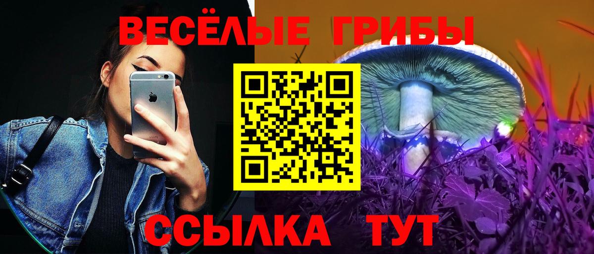 Псилоцибиновые грибы Cubensis Шуя